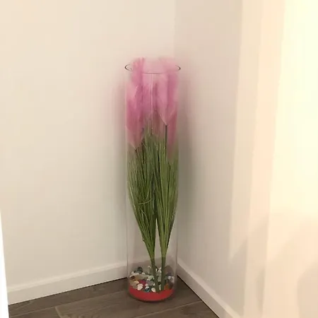 Apartman Ana Apartman *